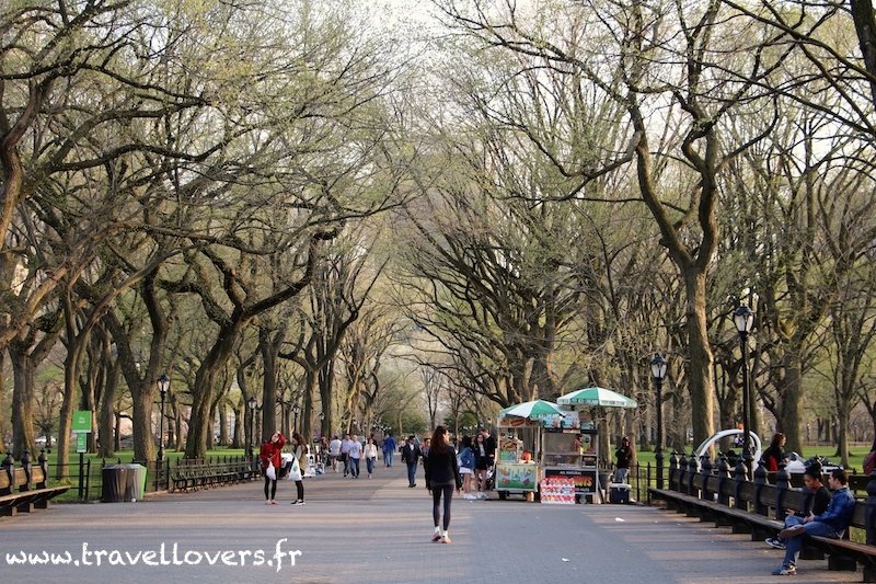 the-mall-central-park