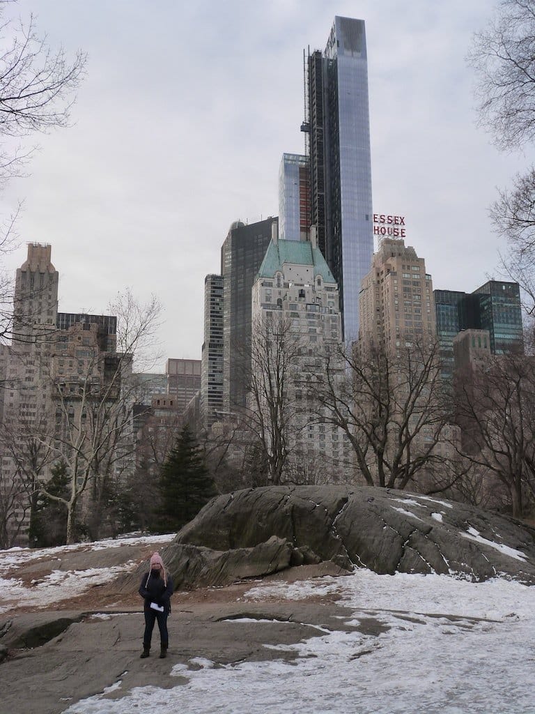 central-park-hiver