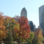 Quel temps pour mon voyage à New York ? Météo et climat à NYC
