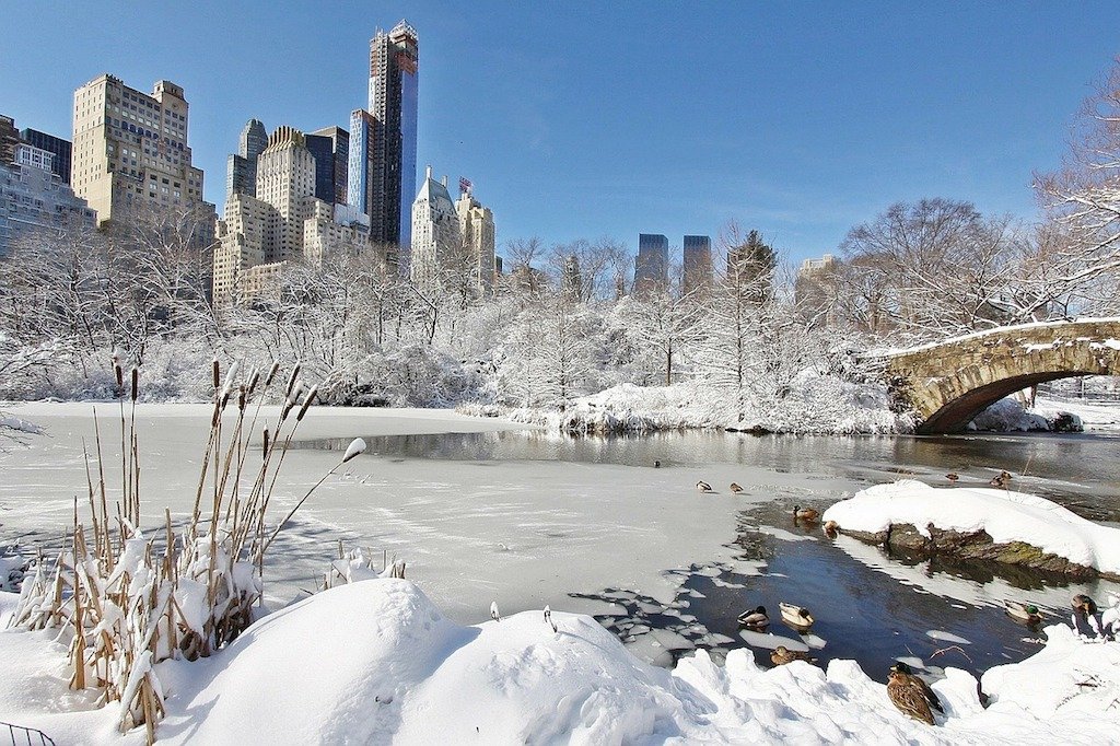 new-york-sous-la-neige