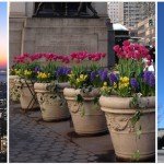 Pourquoi New York est-elle la ville la plus géniale du monde ?