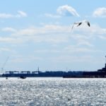 Pourquoi visiter New York ? 10 bonnes raisons de voyager à NYC