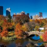 Aller à New York en septembre / octobre : pourquoi c'est le pied