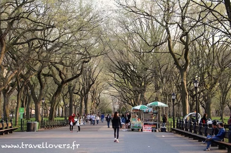 the-mall-central-park