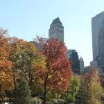 Quel temps pour mon voyage à New York ? Météo et climat à NYC
