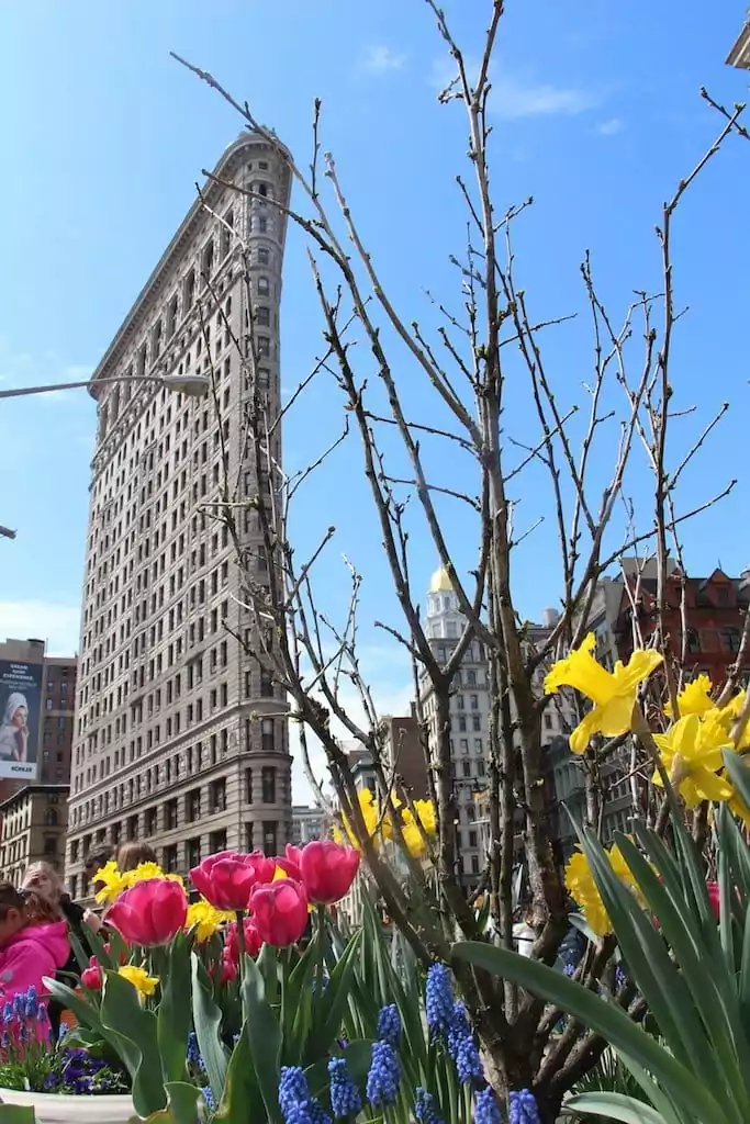 fleurs-flatiron-building-new-york-city