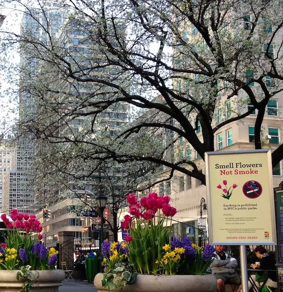 interdiction-fumer-new-york