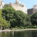 ▷ New York en été : tout ce qu'il faut savoir pour bien en profiter